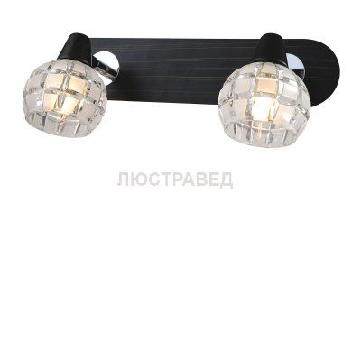 Светильник поворотный спот Lussole LSL-8601-02 SILANDRO