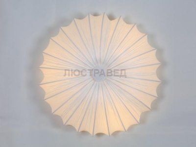 Светильник потолочный St luce SL351.052.05