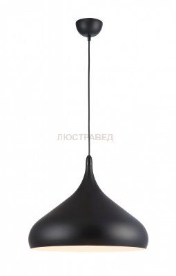 Подвесной светильник Arte lamp A3266SP-1BK Cappello