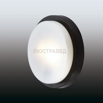 Настенно-потолочный светильник odeon light 2744/2C HOLGER