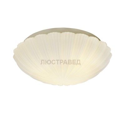 Светильник настенно-потолочный St luce SL495.502.03