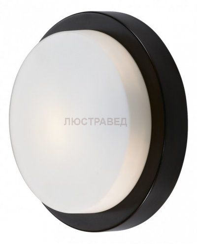 Настенно-потолочный светильник odeon light 2744/1C HOLGER