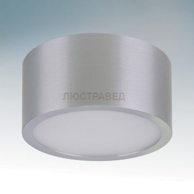 Светильник светодиодный Lightstar 213919 ZOLLA