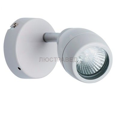 Светильник поворотный спот Mw light 509023201 Аква