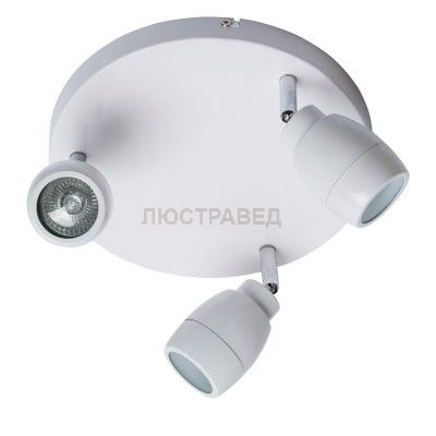 Светильник поворотный спот Mw light 509023503 Аква