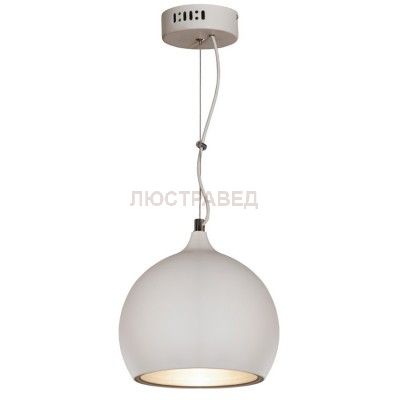 Светильник Lussole LSN-6126-01