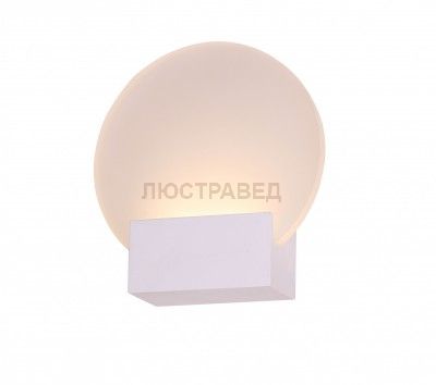 Светильник St luce SL580.011.01