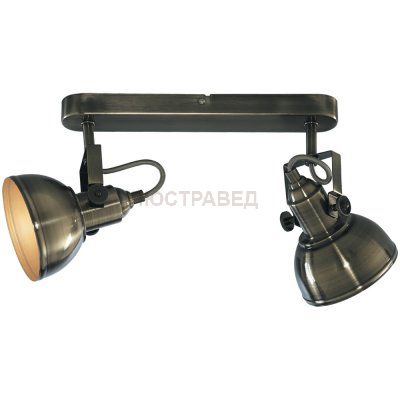 Светильник спот Arte lamp A5213AP-2AB Martin 