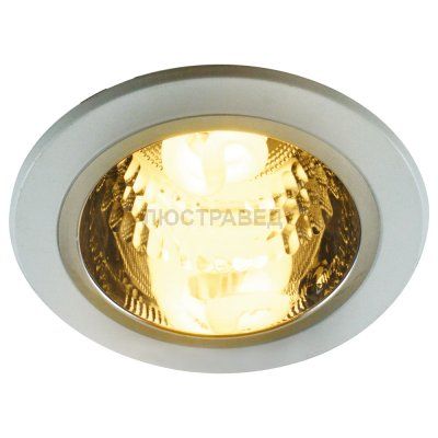 Светильник Arte lamp A8044PL-1WH Downlights