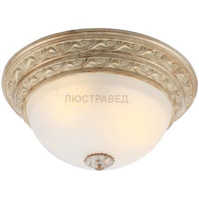 Светильник потолочный Arte lamp A8013PL-2WA Piatti