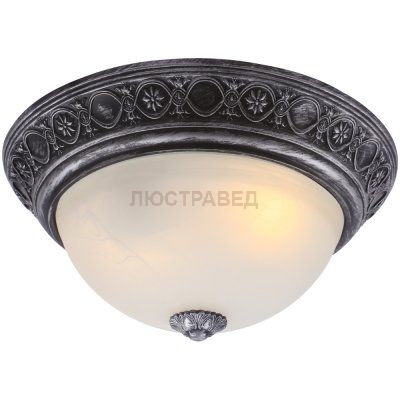 Потолочный светильник Arte lamp A8009PL-2SB Piatti