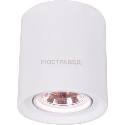 Точечный светильник Arte lamp A9262PL-1WH Tubo