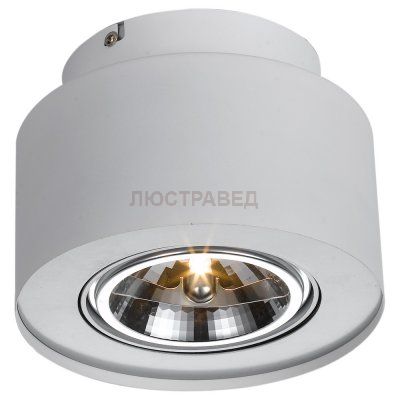 Светильник Arte lamp A5643PL-1WH Cliff