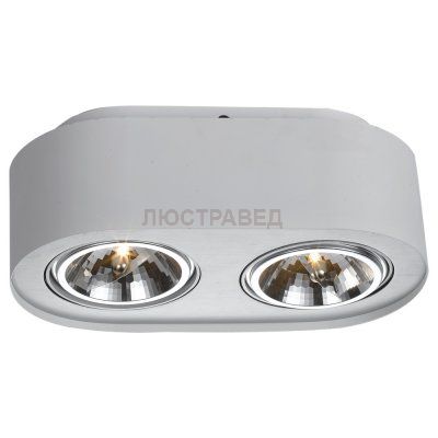 Светильник Arte lamp A5643PL-2WH Cliff