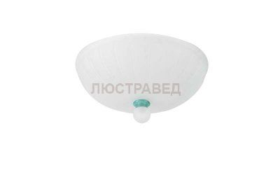 Потолочный светильник Donolux C110242/4