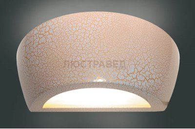 Накладной настенный Donolux DL221G/1W1