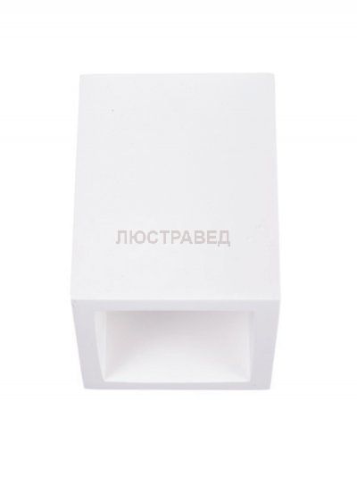 Накладной потолочный Donolux DL229G