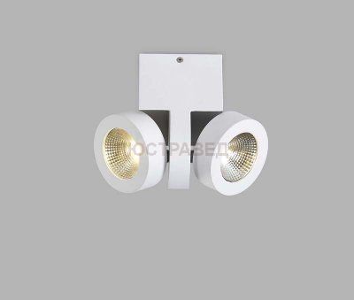 Настенно-потолочный Donolux DL18698/12WW-White