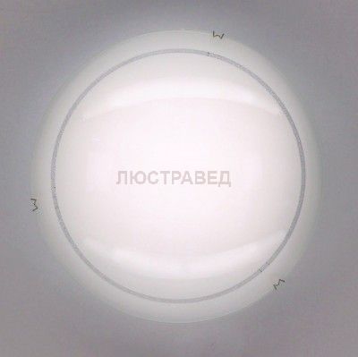 Светильник настенно-потолочный Citilux CL917081 Лайн