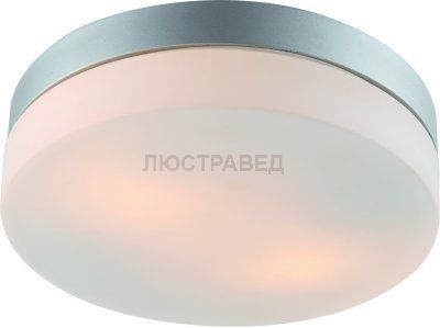 Светильник потолочный Arte lamp A3211PL-2SI AQUA