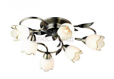 Люстра потолочная Arte lamp A6061PL-6AB PERCE