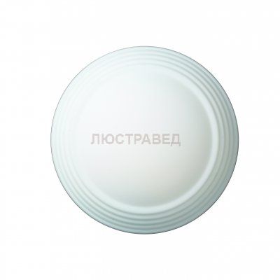 Светильник St luce SL506.502.01