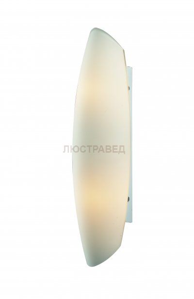 Светильник настенный St luce SL507.051.02