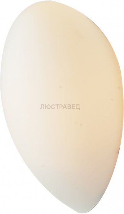 Светильник настенный St luce SL507.551.01