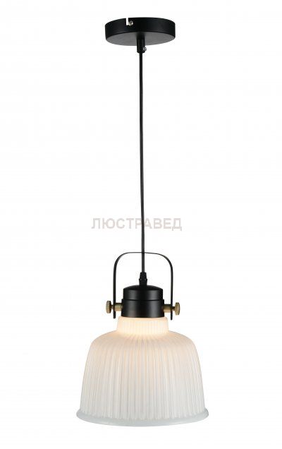 Светильник подвесной St luce SL714.443.01 