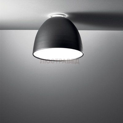 Светильник Artemide A244600 Nur