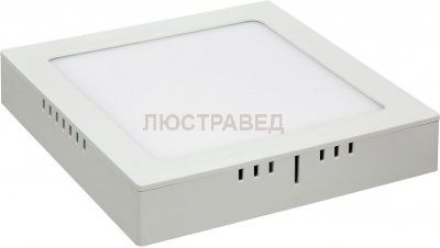 DLS020 24W 4200K Электростандарт Накладной потолочный светодиодный светильник