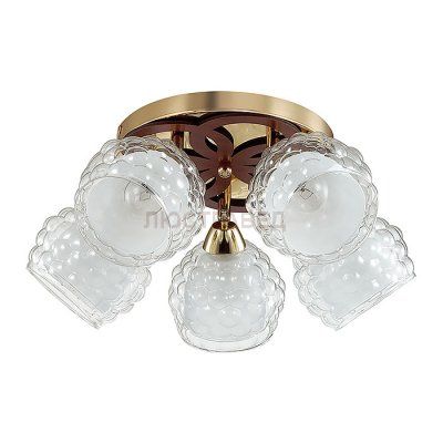 Люстра потолочная Lumion 3057/5C FEDERRO