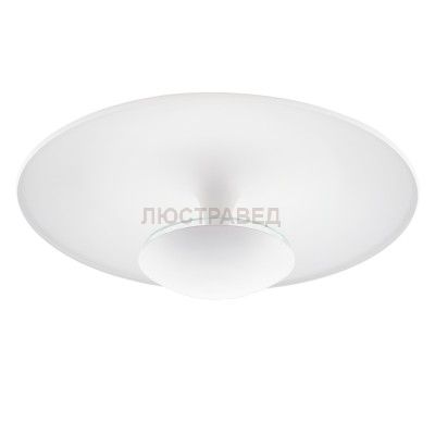 Настенно-потолочный светильник LED Eglo 95487 TORONJA