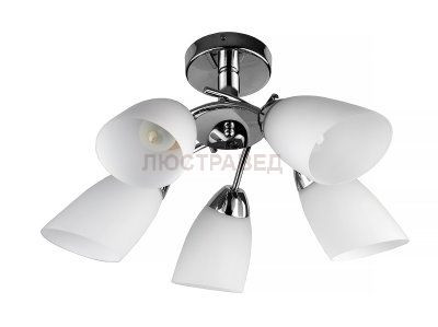 Люстра потолочная Toplight TL3600X-05CH Carmel