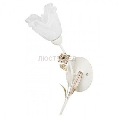 Alfa LENA 10510 настенный светильник