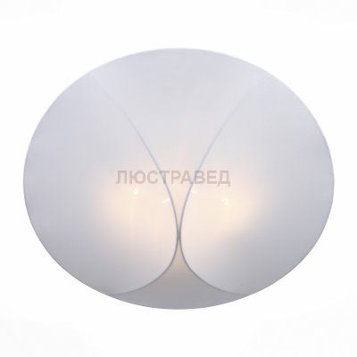 Светильник St Luce SL360.552.04