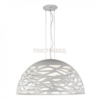 Светильник St Luce SL273.553.01