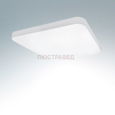 Светильник накладной светодиодный Lightstar 226264 Arco