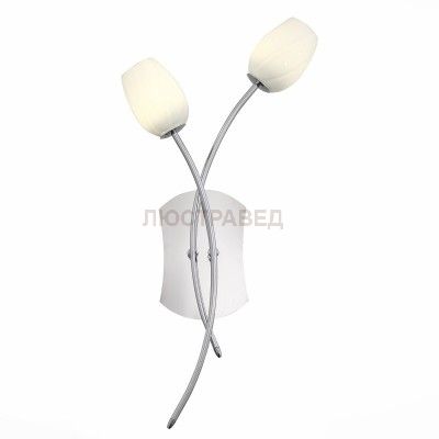 Светильник St luce SL478.101.02