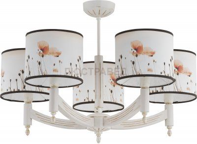 Alfa MACZEK 19195 потолочный светильник