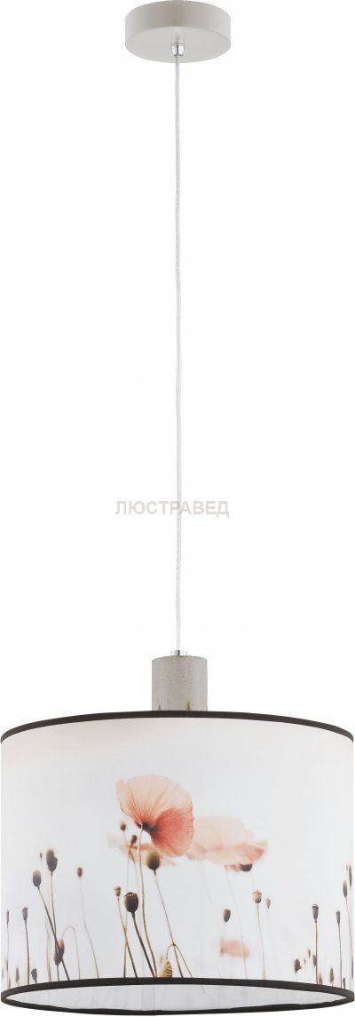 Alfa MACZEK 9611 потолочный светильник