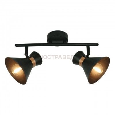 Светильник настенный бра Arte lamp A1406AP-2BK BALTIMORE