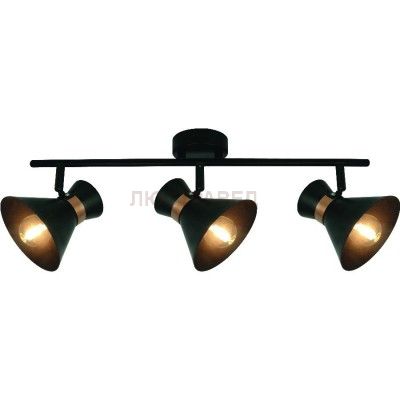 Светильник потолочный Arte lamp A1406PL-3BK BALTIMORE