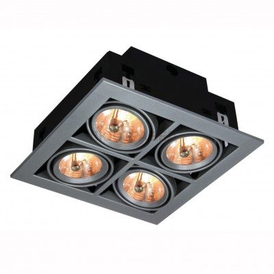 Светильник потолочный Arte lamp A5930PL-4SI Technika