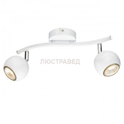 Светильник потолочный Arte lamp A6251PL-2WH PIATTO