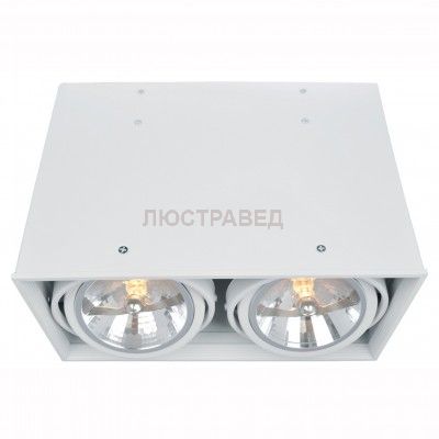 Светильник потолочный Arte lamp A5936PL-2WH CARDANI