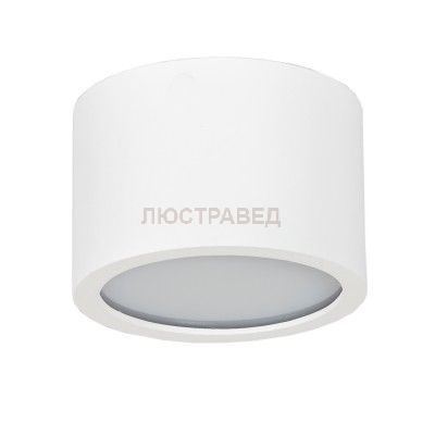 Артпром Tubo IP P1 10 Потолочный светильник 