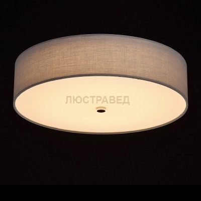 Mw light 453011401 Светильник