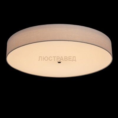 Mw light 453011801 Светильник