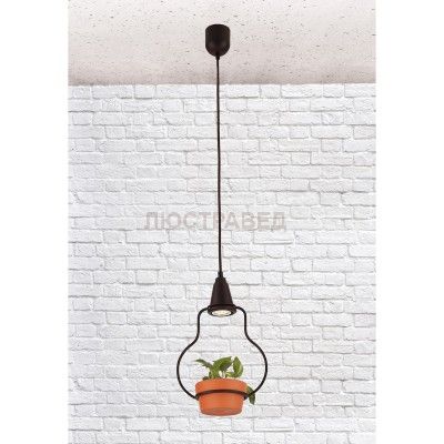 Ретро светильник Loft it 6969/1А